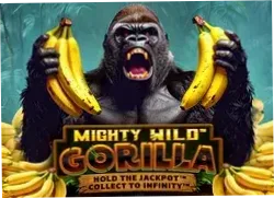 Bonus Hunter 1 - Winolot Casino España