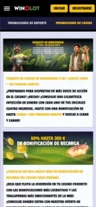 Winolot live casino móvil 2